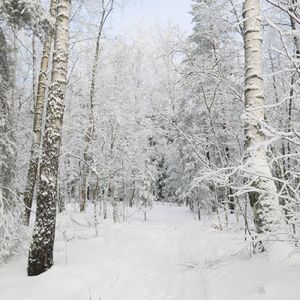 《E8r即兴曲》冬之恋歌