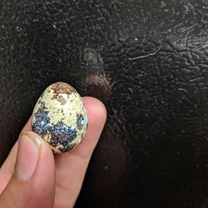 Psychotic Pedestrian