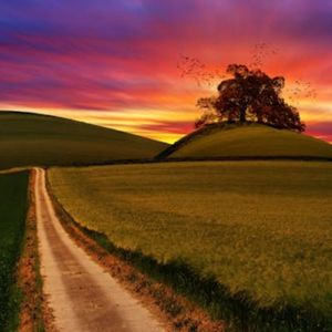 翡翠之湖（养生馆音乐）