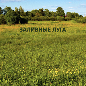 Без вести пропавшим