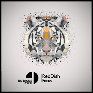 Focus (Original Mix)
