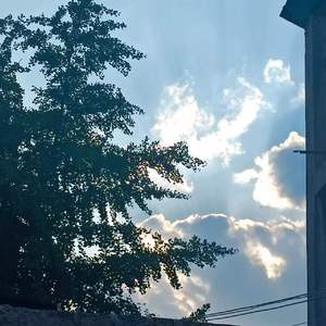 我以为忘了想念抖音