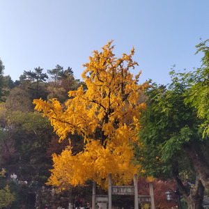 我是人间修行客