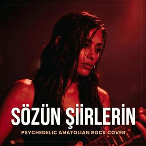 Sözün Şiirlerin