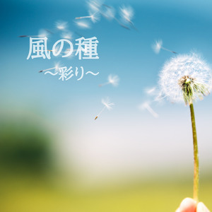風の種～彩り～