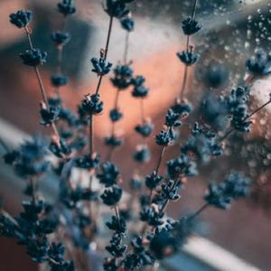 冥想音乐 水送山迎