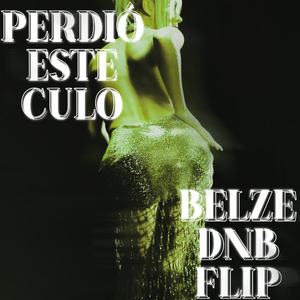 PERDIÓ ESTE CULO (BELZE DNB FLIP)