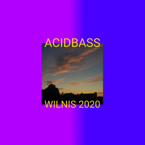 Wilnis 2020