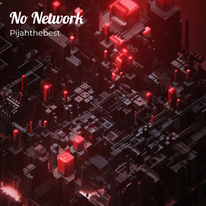 No Network