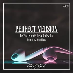 Perfect Version (Alex Hook Radio Remix)