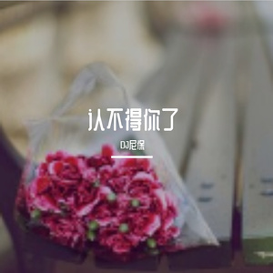 认不得你了