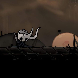 hollow knight