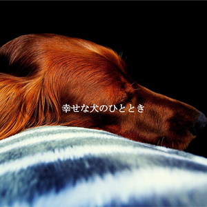 Fantastic (Soothing Days)