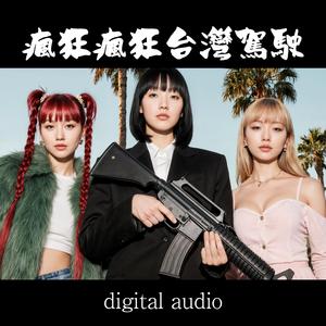 瘋狂瘋狂台灣駕駛