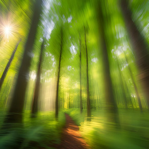 心を癒す森のピアノBGM