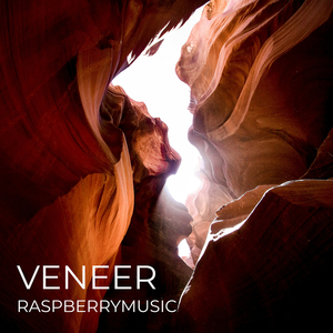 Veneer