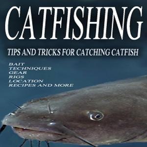 Catfishing (feat. Bigmoneysosa$)