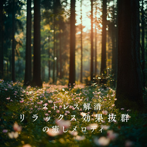 音楽療法のハーモニーで整う夜