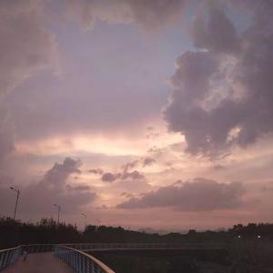 短叹（cover房东的猫）