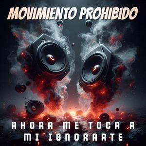AHORA ME TOCA IGNORARTE