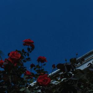 爱与痛的边缘（cover 单依纯）