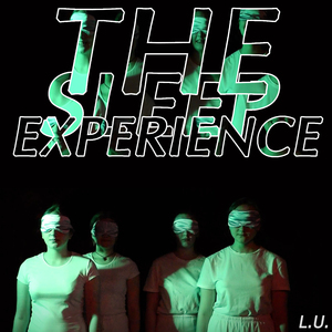 The Sleep Experience