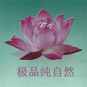 花香鸟语