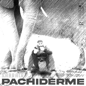 Pachiderme