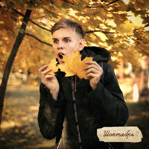 Фанерное солнце