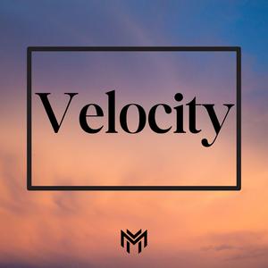 Velocity