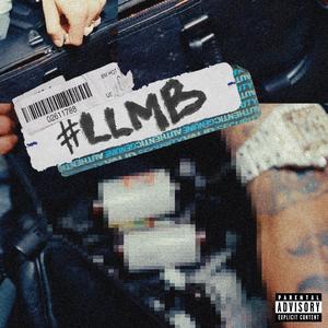 #LLMB