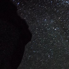 绝对想你的心
