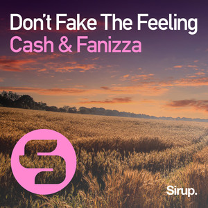 Don't Fake the Feeling (Original Club Mix)