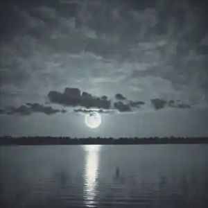 我们不该这样的 (伤感版)