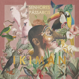 Senhores Pássaros