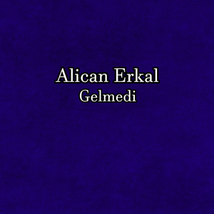 Gelmedi