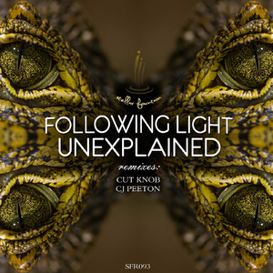 Unexplained (CJ Peeton Remix)