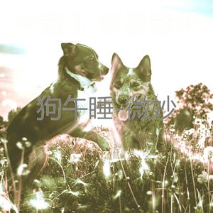 背景音乐-狗午睡