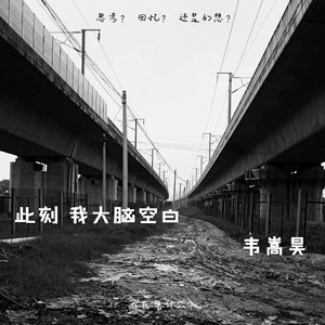 此刻我大脑空白