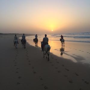 Vybe (feat. Iceboiy)