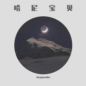 南征北战NZBZ-哈尼宝贝 - Gunpowder Remix（Martin remix）