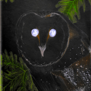 The Disillusion Hill