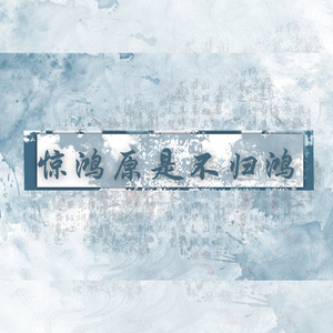 惊鸿原是不归鸿