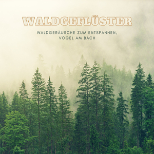 Nordlichter - (Musik zur Entspannung)