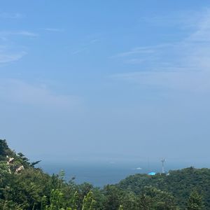 我有一句喜欢你