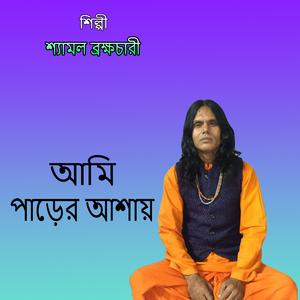 আমি পাড়ের আশায়