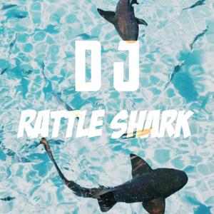 Kẻ Cắp Gặp Bà Già（Rattle Shark mix）