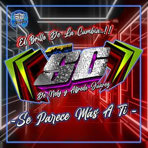 Se Parece Mas A Ti (feat. Dj Alex Ochoa Remix)