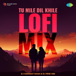 Tu Mile Dil Khile - Lofi Mix