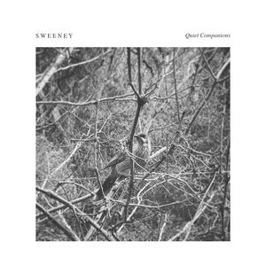 Train (feat. Winter Witches)